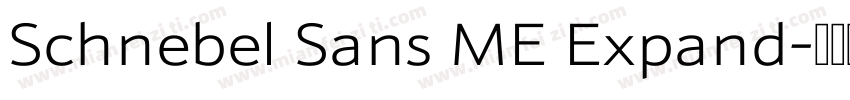 Schnebel Sans ME Expand字体转换